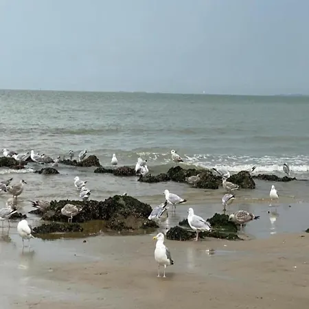 Panoramic Beachfront Bliss Appartement *