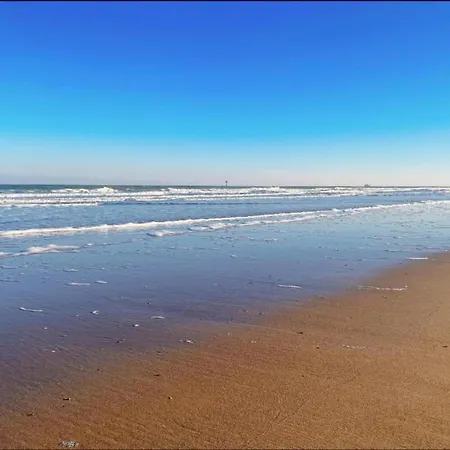 Panoramic Beachfront Bliss アパート クノック・ヘイスト