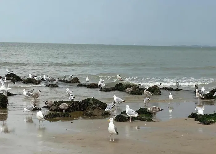 Panoramic Beachfront Bliss Appartement *