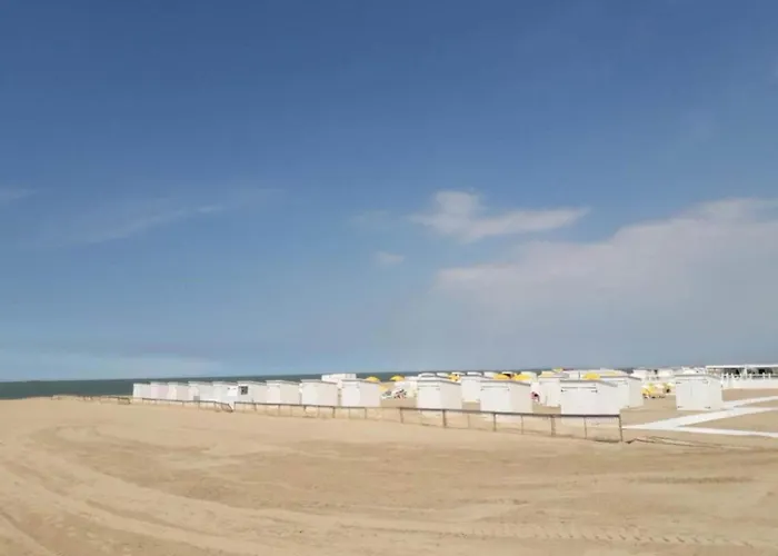 Panoramic Beachfront Bliss