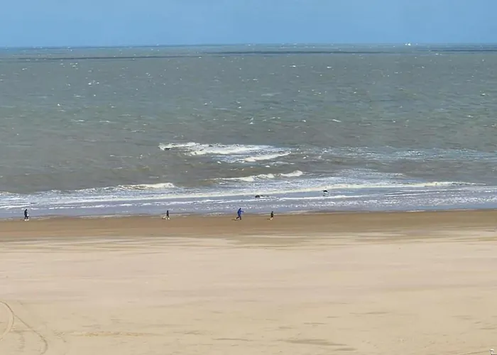 Appartement Panoramic Beachfront Bliss *