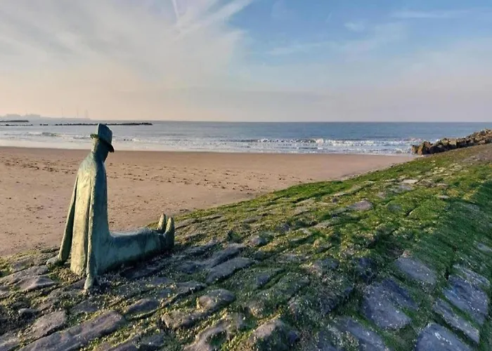 Appartement Panoramic Beachfront Bliss