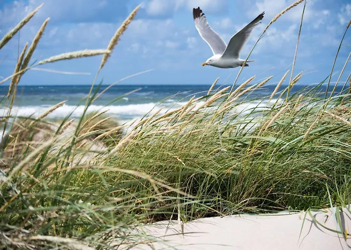 Appartement Panoramic Beachfront Bliss *